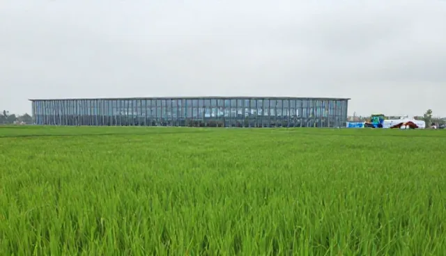 优质水稻种苗种植中水资源管理问题及应对策略