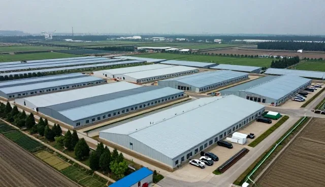 种苗供应篇：种苗供应加工实用干货